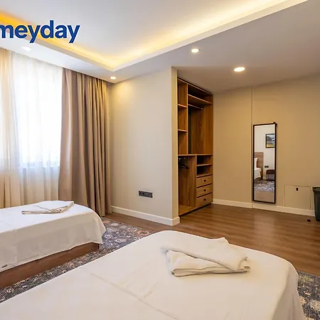 Vila Villaharmony A1 *